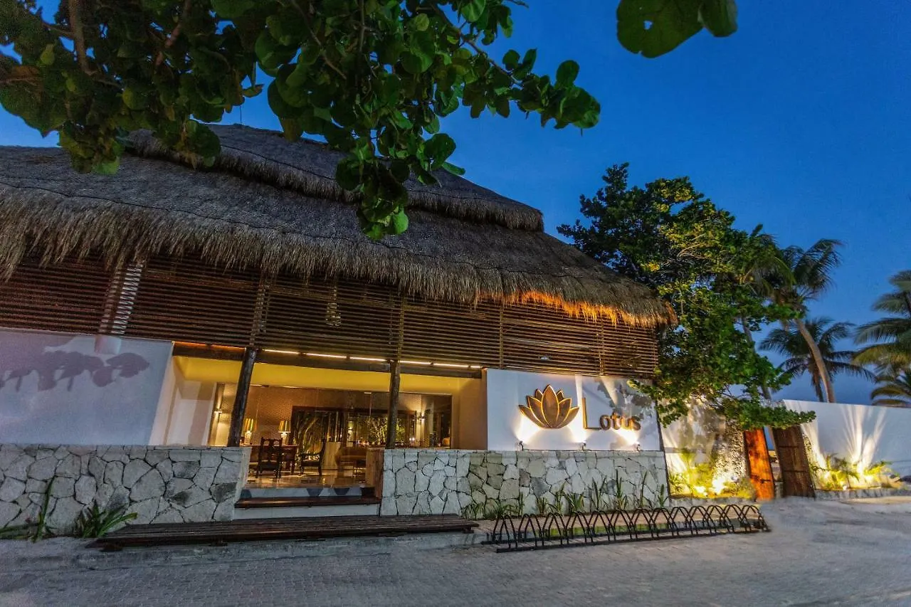 Lotus Beach Hotel - Adults Only Isla Mujeres